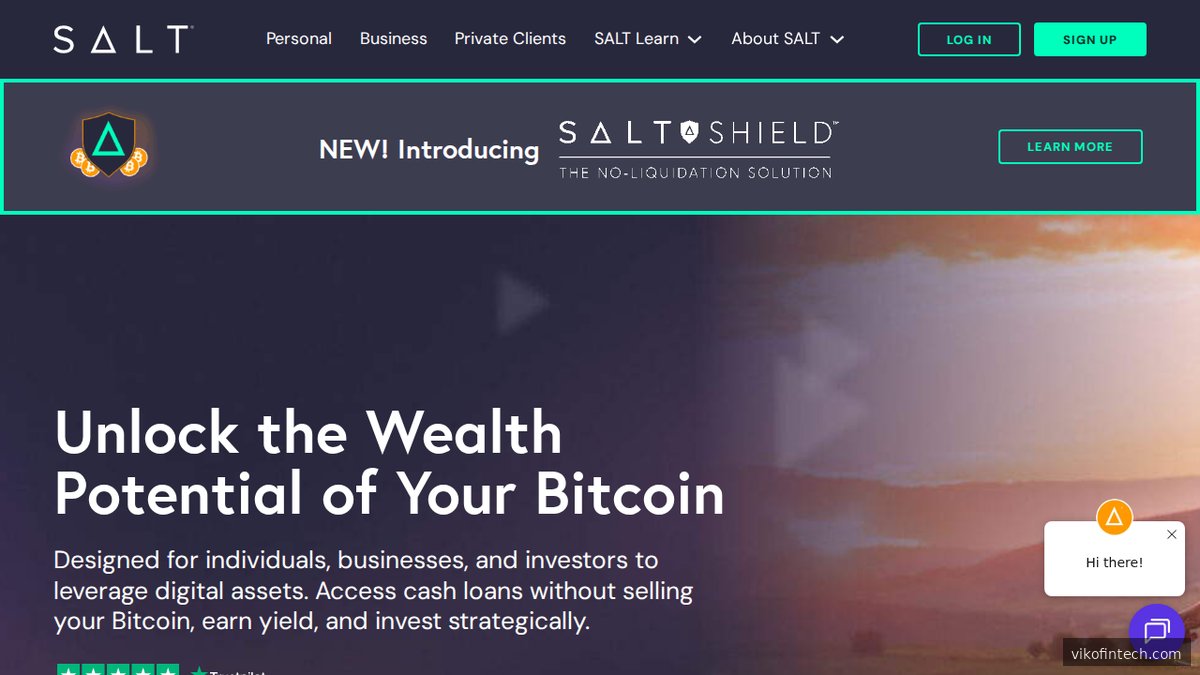 Salt Lending Features-Übersicht – Stabilization-Mechanismus als Schutz vor Zwangsliquidation