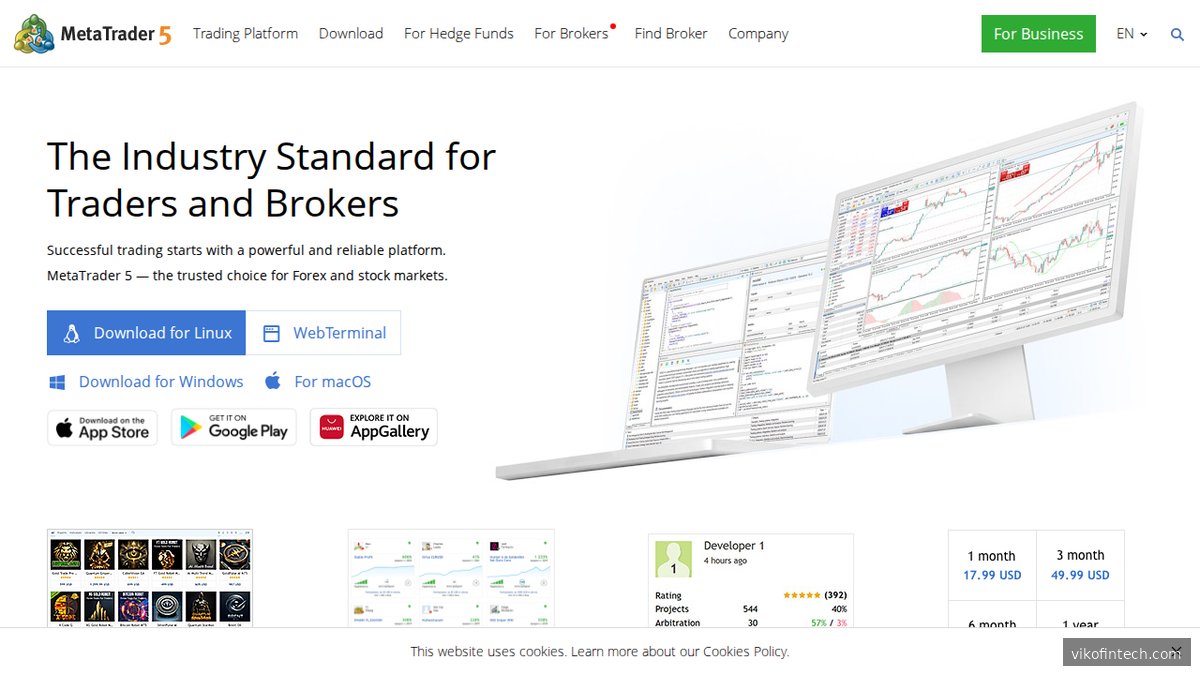 MetaTrader 5 Plattform-Übersicht auf der offiziellen Website
